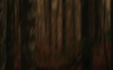 CLAYTON SPENCER NUDE/SEXY SCENE IN BONE LAKE