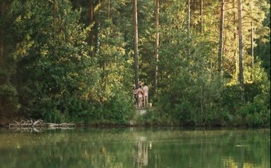 JURGEN FISCHER,BEN PLUNKETT-REYNOLDS NUDE/SEXY SCENE IN WEDDING IN HUNDSLING