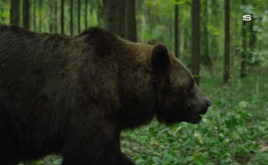 SERGEY ROMANOVICH NUDE/SEXY SCENE IN KHUTOR