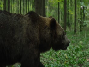 SERGEY ROMANOVICH in KHUTOR