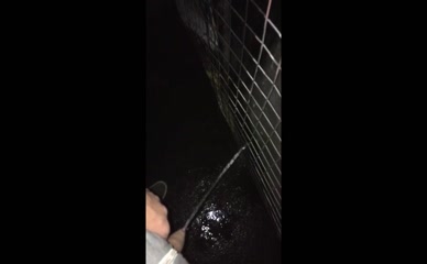 Videos Added on 12 September 2025