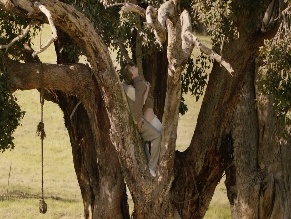 FIONN O'SHEA in LILIES NOT FOR ME (2024)