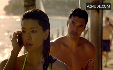 IAN ANTHONY DALE in Hawaii Five-0