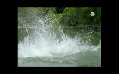 SIEGFRIED TERPOORTEN NUDE/SEXY SCENE IN MEIN WEG ZU DIR HEISST LIEBE