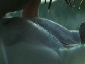 JACOB ELORDI in THE NARROW ROAD TO THE DEEP NORTH (2025)