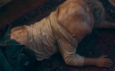 JACQUES ADRIAANSE NUDE/SEXY SCENE IN MATCH