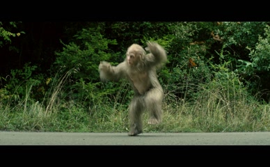 JESSE EISENBERG in Sasquatch Sunset