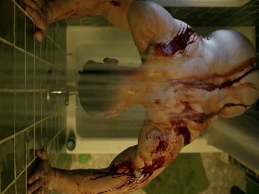 JOHN CENA in PEACEMAKER (2022-)