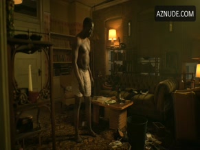 MICHAEL KENNETH WILLIAMS in LOVECRAFT COUNTRY (2020-)