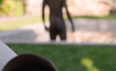 MILES MITCHELL NUDE/SEXY SCENE IN DAWN CHORUS