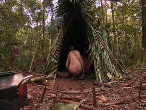 NATHAN MARTINEZ in NAKED AND AFRAID XL (2015-)