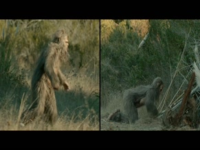 NATHAN ZELLNER in SASQUATCH SUNSET (2024)