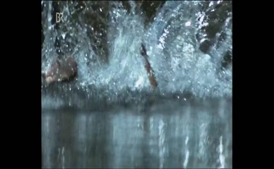 MARKUS ANTON NUDE/SEXY SCENE IN APOLLONIA