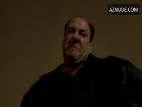 PETER RIEGERT NUDE/SEXY SCENE IN THE SOPRANOS
