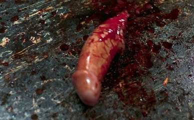 PETER ROMANO NUDE/SEXY SCENE IN SCREAMBOAT